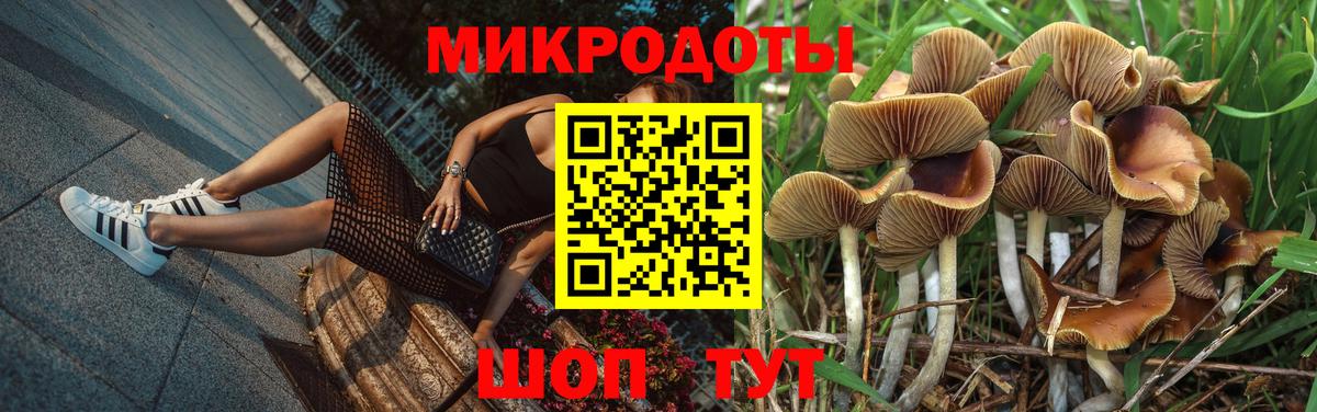 Псилоцибиновые грибы Cubensis  Вход с VPN  Каменка 