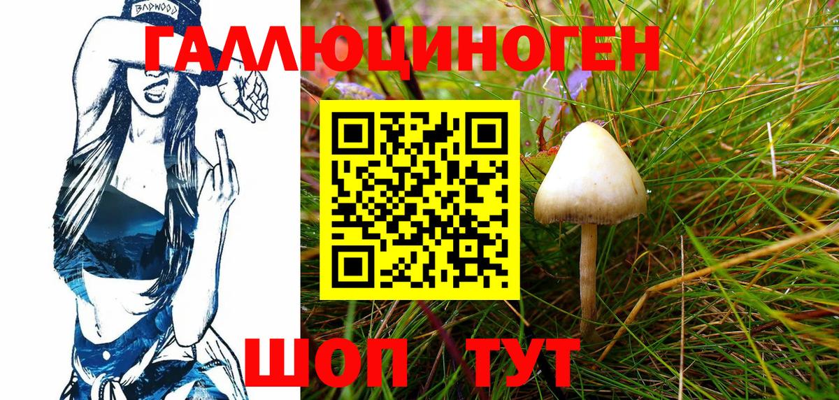 Псилоцибиновые грибы прущие грибы Каменка